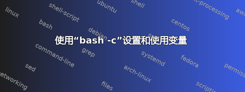 使用“bash -c”设置和使用变量