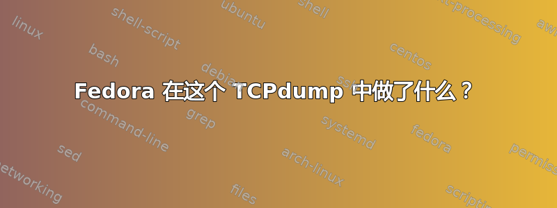 Fedora 在这个 TCPdump 中做了什么？