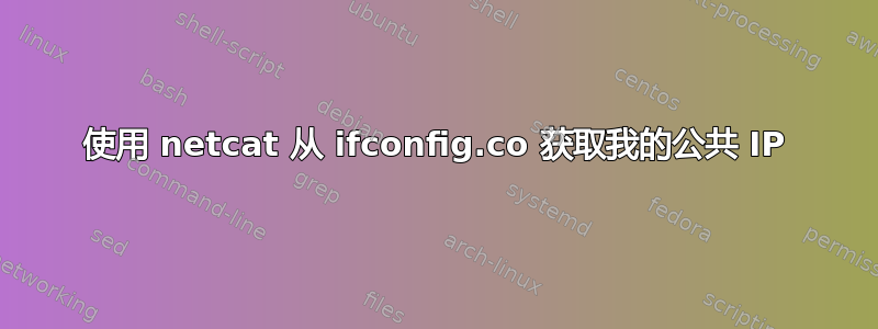 使用 netcat 从 ifconfig.co 获取我的公共 IP