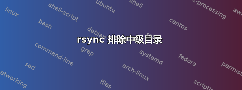 rsync 排除中级目录