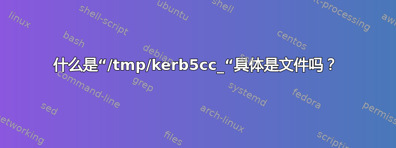 什么是“/tmp/kerb5cc_“具体是文件吗？