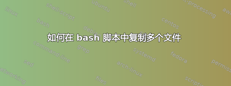 如何在 bash 脚本中复制多个文件