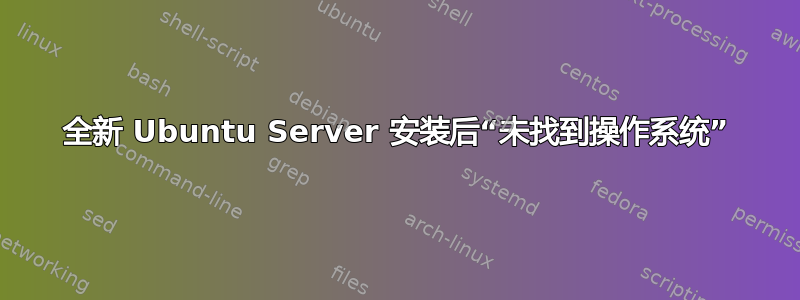 全新 Ubuntu Server 安装后“未找到操作系统”