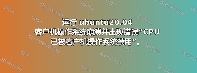 运行 ubuntu20.04 客户机操作系统崩溃并出现错误“CPU 已被客户机操作系统禁用”。