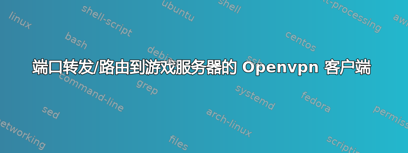 端口转发/路由到游戏服务器的 Openvpn 客户端