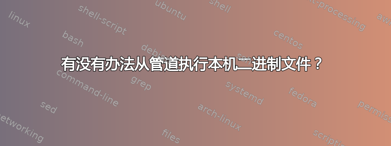 有没有办法从管道执行本机二进制文件？