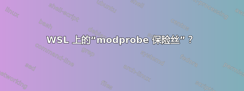 WSL 上的“modprobe 保险丝”？