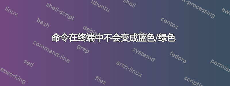 命令在终端中不会变成蓝色/绿色