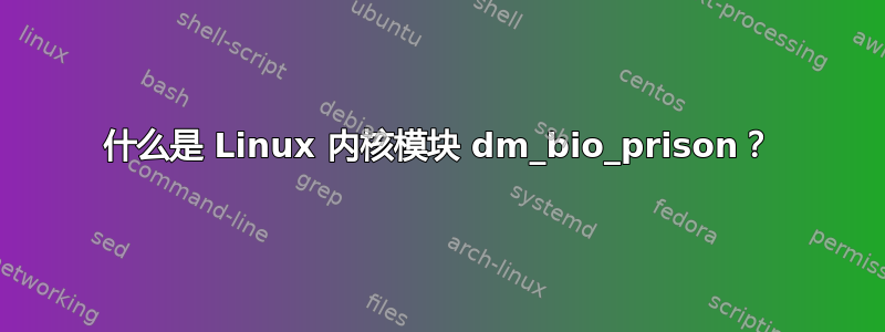 什么是 Linux 内核模块 dm_bio_prison？