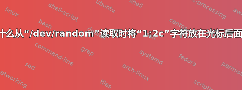 为什么从“/dev/random”读取时将“1;2c”字符放在光标后面？ 