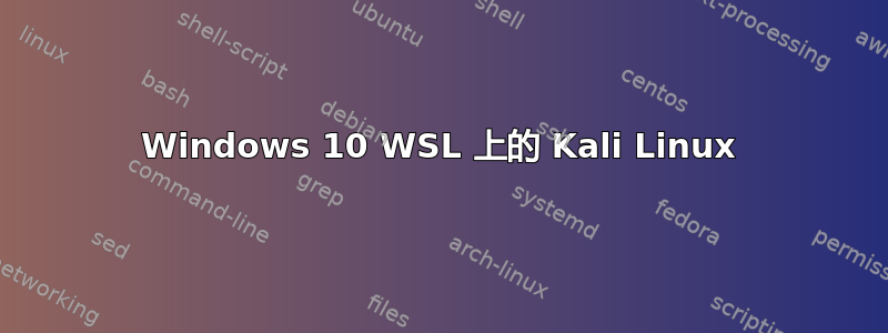 Windows 10 WSL 上的 Kali Linux