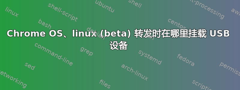 Chrome OS、linux (beta) 转发时在哪里挂载 USB 设备