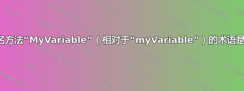 描述命名方法“MyVariable”（相对于“myVariable”）的术语是什么？