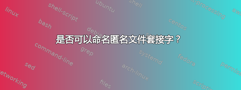 是否可以命名匿名文件套接字？