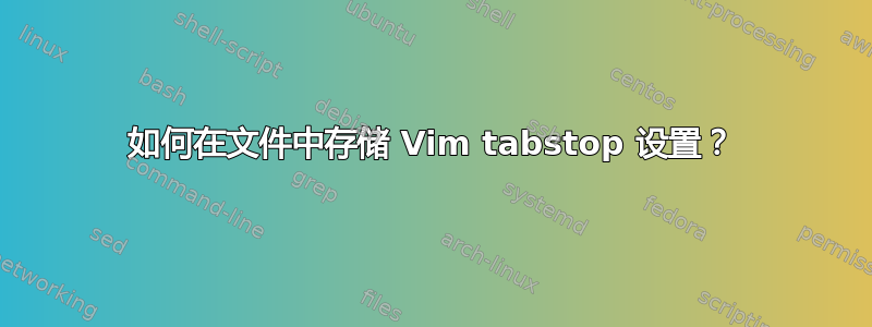 如何在文件中存储 Vim tabstop 设置？