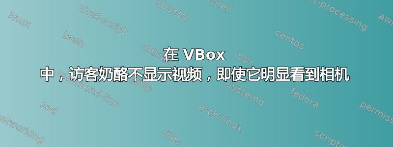 在 VBox 中，访客奶酪不显示视频，即使它明显看到相机