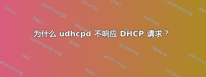 为什么 udhcpd 不响应 DHCP 请求？