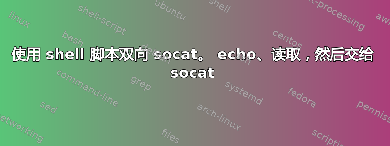 使用 shell 脚本双向 socat。 echo、读取，然后交给 socat