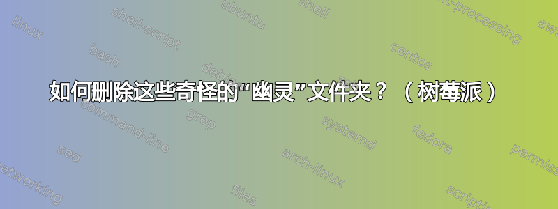 如何删除这些奇怪的“幽灵”文件夹？ （树莓派）