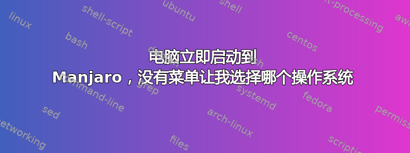 电脑立即启动到 Manjaro，没有菜单让我选择哪个操作系统