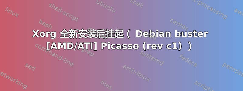 Xorg 全新安装后挂起（ Debian buster [AMD/ATI] Picasso (rev c1) ）