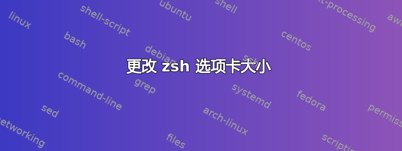 更改 zsh 选项卡大小