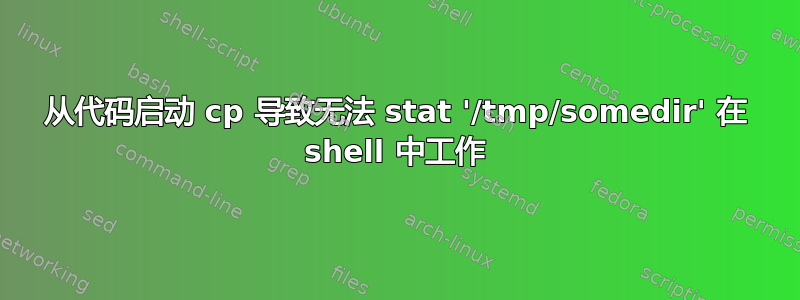 从代码启动 cp 导致无法 stat '/tmp/somedir' 在 shell 中工作