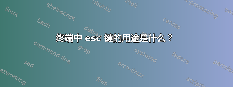 终端中 esc 键的用途是什么？