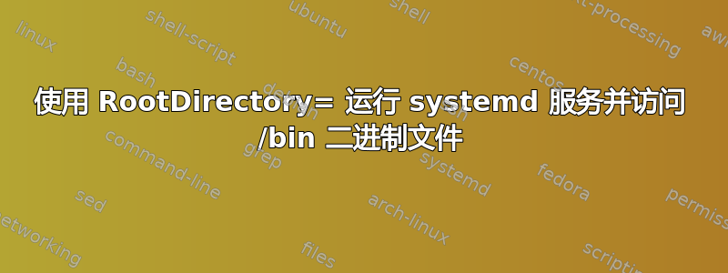 使用 RootDirectory= 运行 systemd 服务并访问 /bin 二进制文件