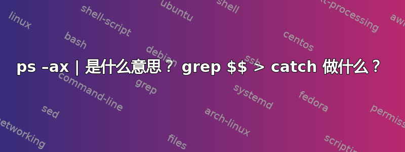 ps –ax | 是什么意思？ grep $$ > catch 做什么？