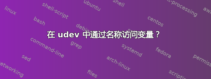 在 udev 中通过名称访问变量？