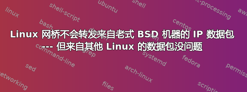 Linux 网桥不会转发来自老式 BSD 机器的 IP 数据包 --- 但来自其他 Linux 的数据包没问题