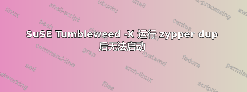 SuSE Tumbleweed -X 运行 zypper dup 后无法启动