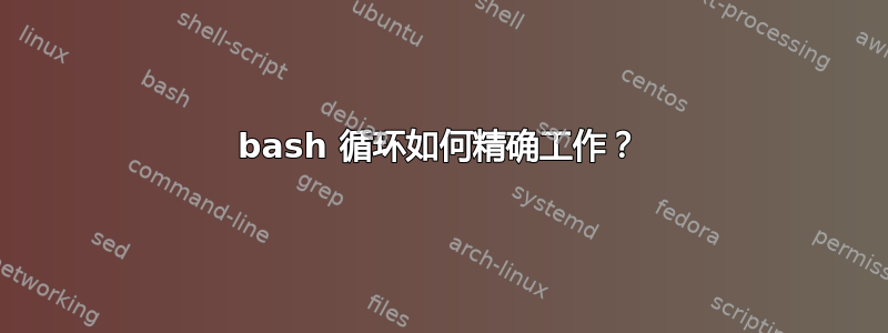 bash 循环如何精确工作？