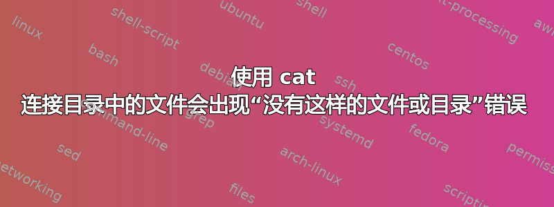 使用 cat 连接目录中的文件会出现“没有这样的文件或目录”错误