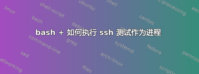 bash + 如何执行 ssh 测试作为进程