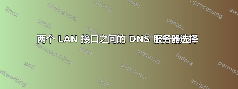 两个 LAN 接口之间的 DNS 服务器选择