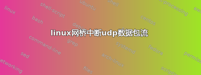 linux网桥中断udp数据包流