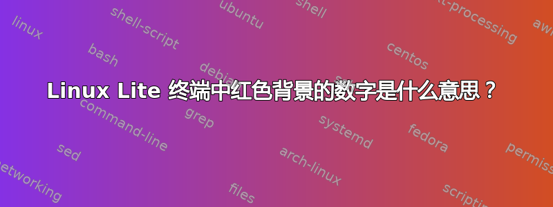 Linux Lite 终端中红色背景的数字是什么意思？