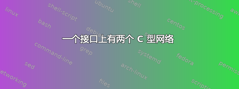 一个接口上有两个 C 型网络