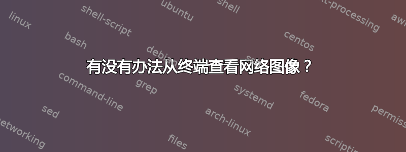 有没有办法从终端查看网络图像？