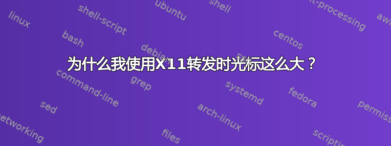 为什么我使用X11转发时光标这么大？