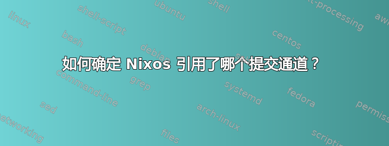 如何确定 Nixos 引用了哪个提交通道？