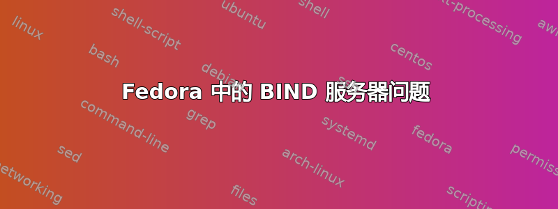 Fedora 中的 BIND 服务器问题