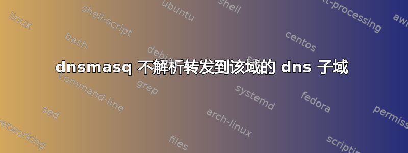 dnsmasq 不解析转发到该域的 dns 子域