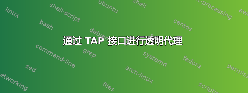 通过 TAP 接口进行透明代理