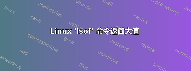 Linux 'lsof' 命令返回大值