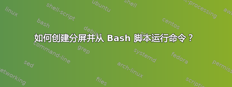 如何创建分屏并从 Bash 脚本运行命令？