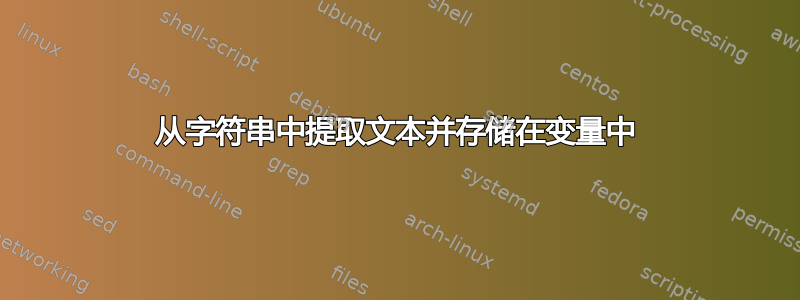 从字符串中提取文本并存储在变量中