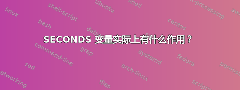 SECONDS 变量实际上有什么作用？